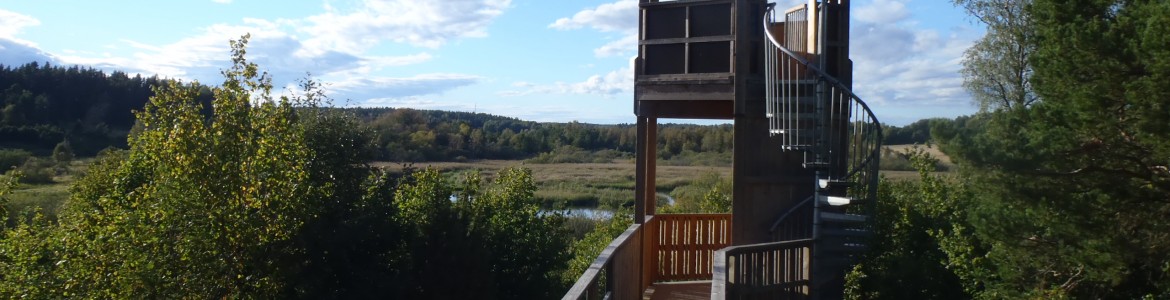 Trunsta-trask-fageltorn