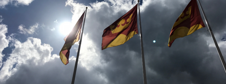 Kommunflaggor