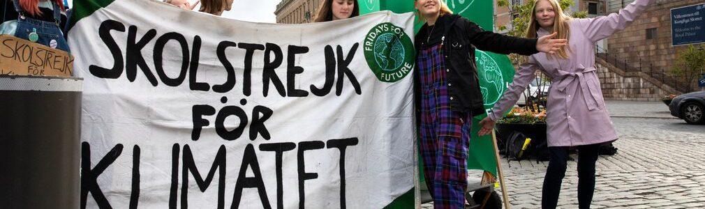 Skolstrejk sep 2019