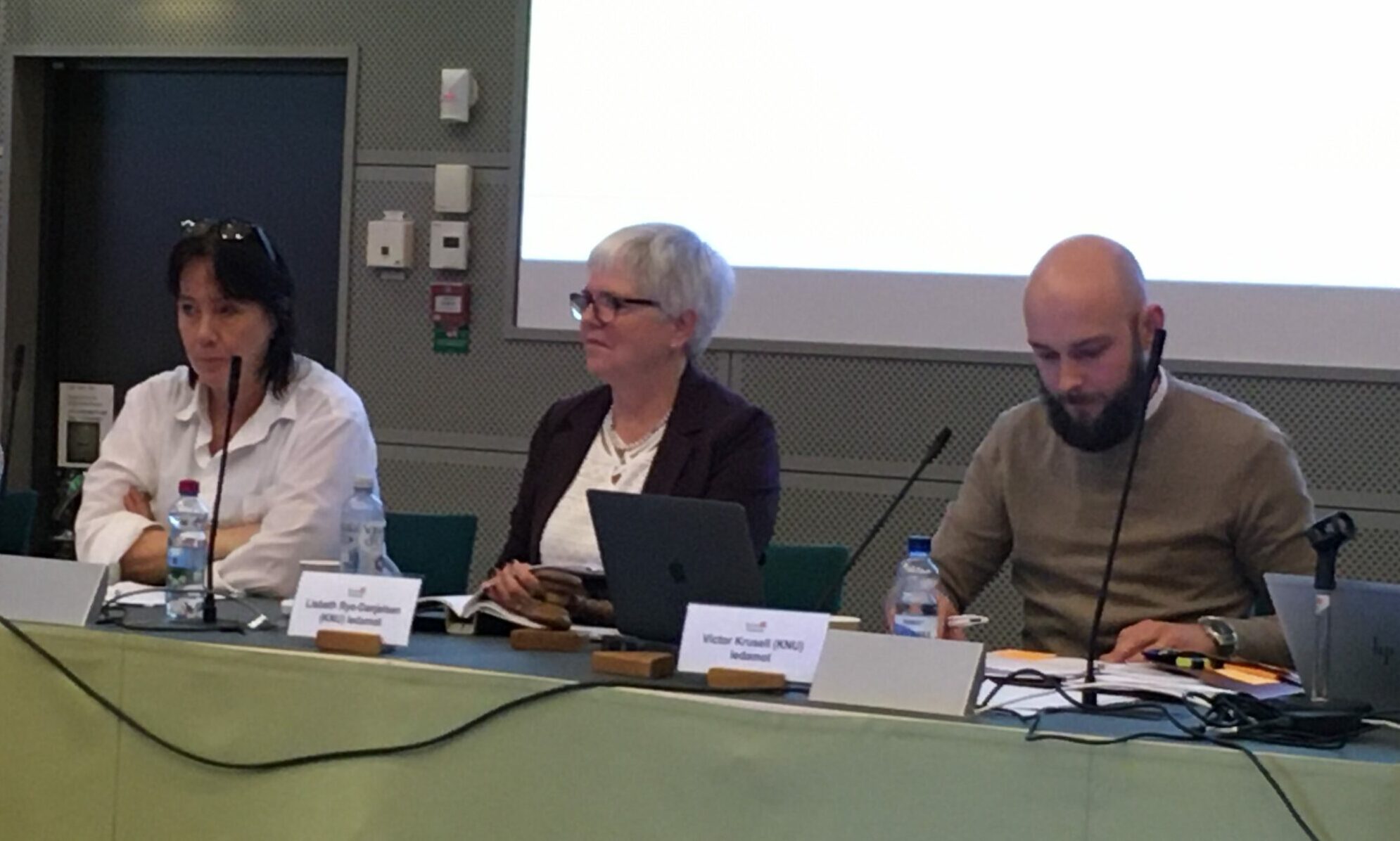 Maria Fornemo och resten av presidiet